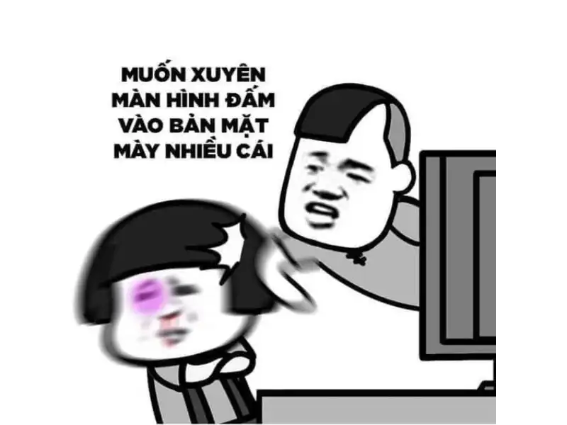 Ảnh meme đánh nhau, meme mèo đánh nhau troll bạn bè