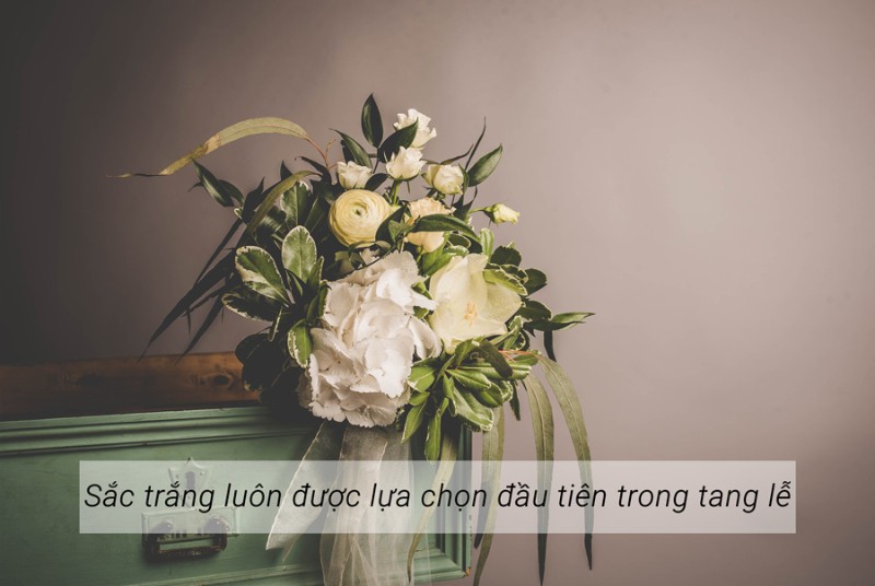 Lý do hoa sen trắng được sử dụng nhiều cho đám tang