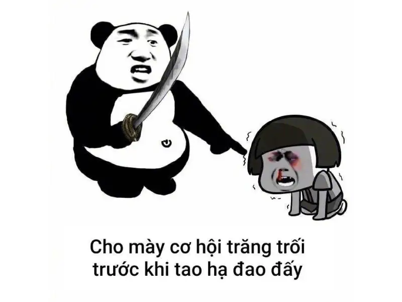 Ảnh meme đánh nhau, meme mèo đánh nhau troll bạn bè