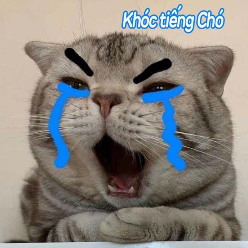 Trọn bộ meme giận dỗi dễ thương cute, hờn dỗi giận người yêu