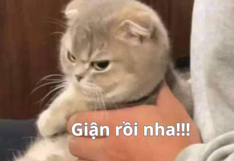 Trọn bộ meme giận dỗi dễ thương cute, hờn dỗi giận người yêu