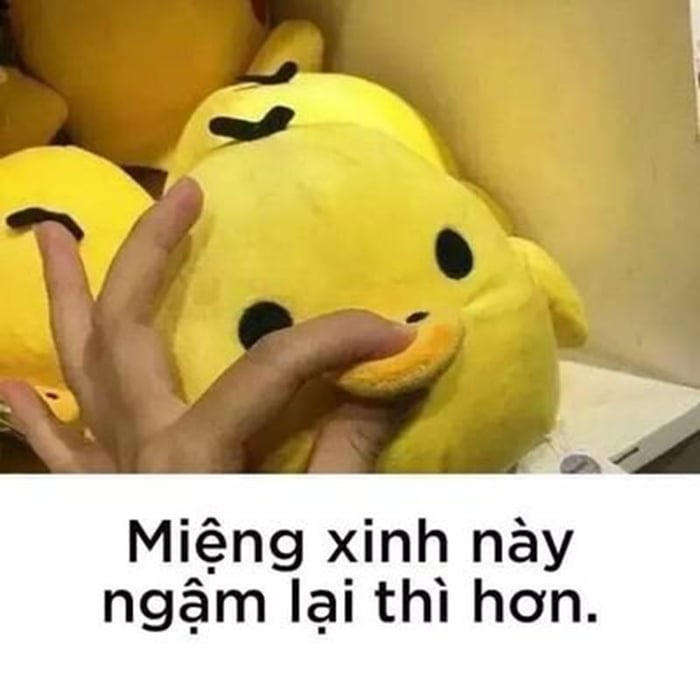 Bùng nổ cười với bộ sưu tập meme im mồm đỉnh cao