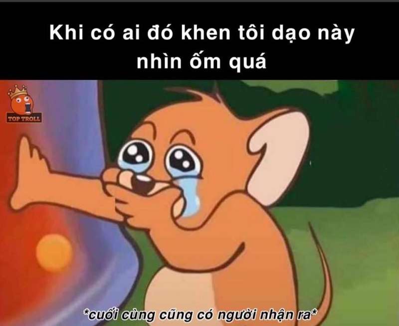 Tổng hợp bộ Tom and Jerry meme cực hài hước dễ thương