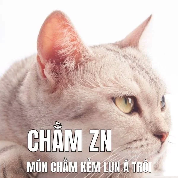 Tổng Hợp Meme Trầm Cảm Hài Hước