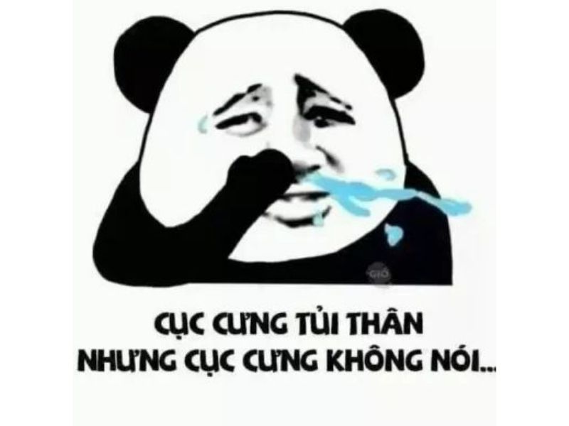 Tổng hợp 100 meme gấu trúc hài hước, hóm hỉnh và cực kỳ bá đạo