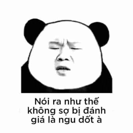 Đồng hành cùng bộ sưu tập meme gấu trúc Weibo hài bá đạo