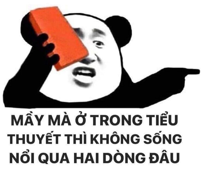 Đồng hành cùng bộ sưu tập meme gấu trúc Weibo hài bá đạo