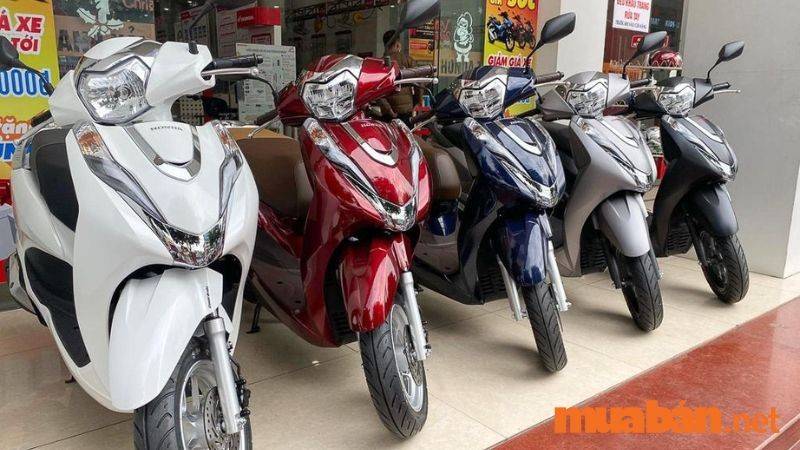 Mua Bán Xe Honda Lead Cũ Giá Rẻ, Mới Nhất T12/2024