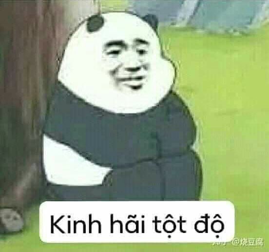 Tổng Hợp Meme Trầm Cảm Hài Hước