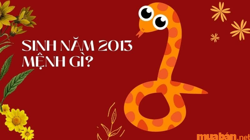 Tuổi Quý Tỵ 2013 mệnh gì, hợp màu gì, hướng nào tốt?