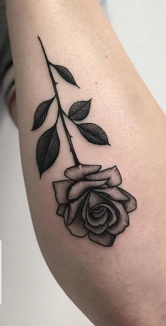 Top 999+ hình xăm hoa hồng cho nữ cực phong cách và quyến rũ - Genztattoo